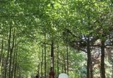 '함께 걸어요! 시흥시 늠내길' 트레킹 프로그램 4월부터 본격 운영