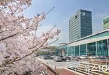 용인특례시, 문화예술 도시 위상 높인 공예명장·문화상 후보자 공모