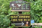 의왕바라산자연휴양림 '스탬프 투어' 운영