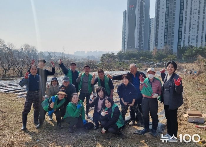 수원시 권선구 세류3동 새마을지도자협의회, 사랑의 감자 심기 행사 실시