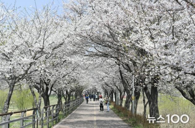 양평읍 갈산공원 사진