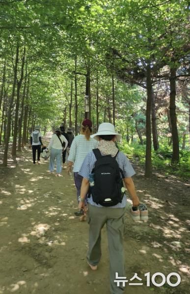 '함께 걸어요! 시흥시 늠내길' 트레킹 프로그램 4월부터 본격 운영