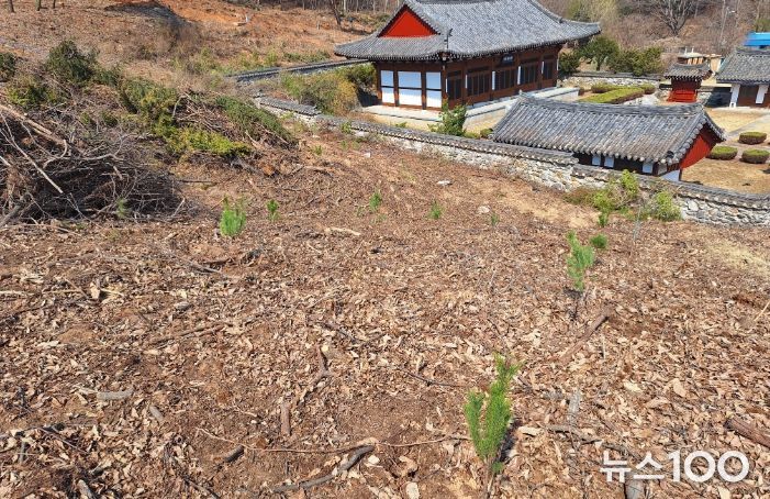 조림사업 대상지 모습