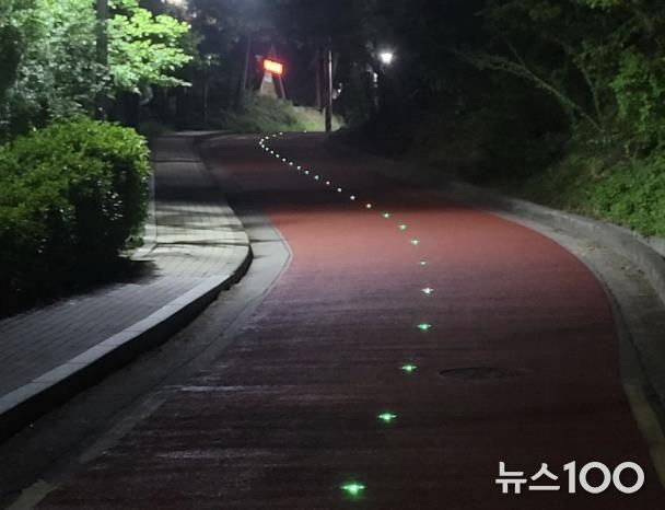 쏠라도로표지병