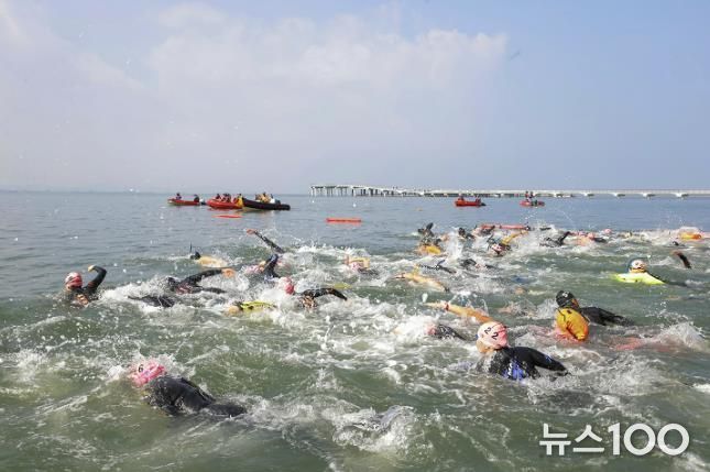 지난해 9월 거북섬에서 열린 제 13회 전국생활체육 장거리 핀수영대회