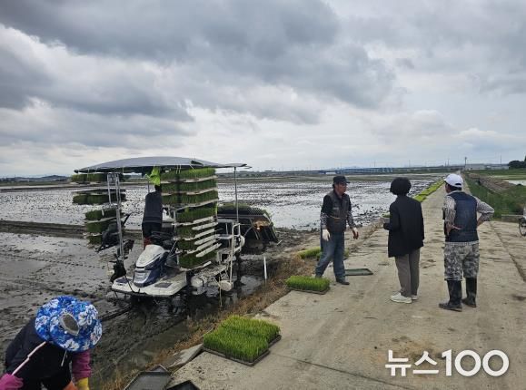 평택시, 기후변화 대응 벼 적기 모내기 실천 확산