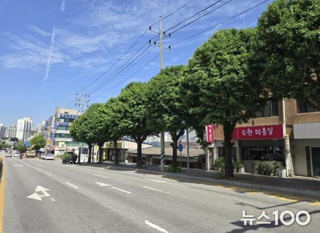 처인구 가로수 정비 모습