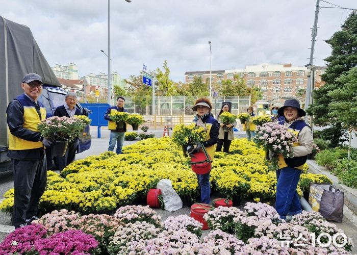 고양시 가좌동, 가을맞이 국화 730본 식재