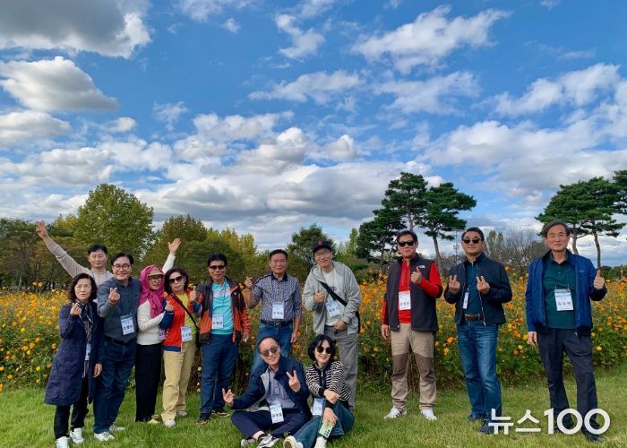 여주시, 금은모래강변공원 “코스모스 만개”