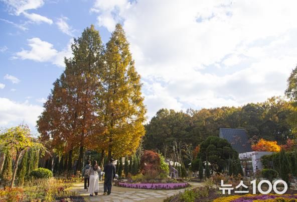 무릉도원수목원