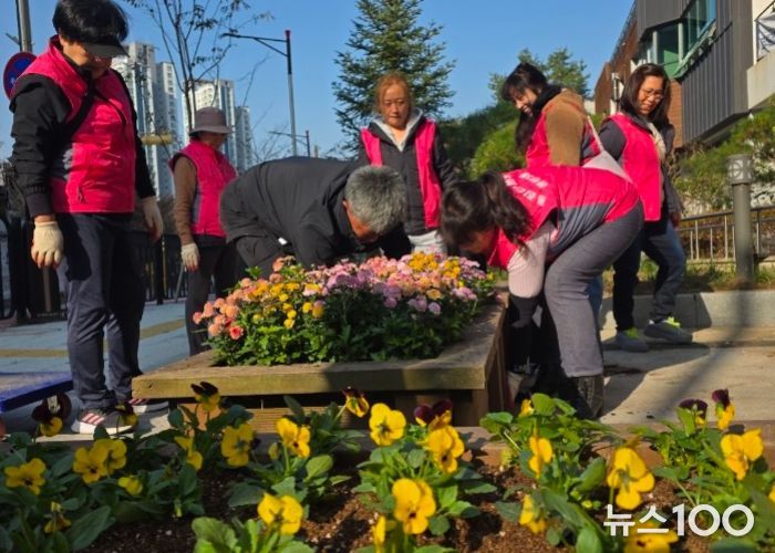화성특례시 동탄3동 주민들이 청사 및 도로변에 비올라를 식재하고 있다