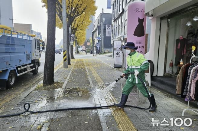 수원시 권선구, 가을철 은행나무 악취 해결에 나섰다!