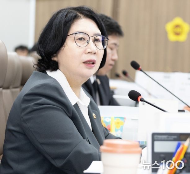 경기도의회 이서영 의원