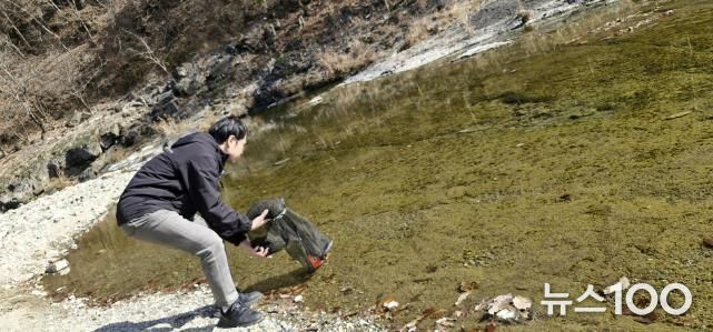 연천군, 한탄강·임진강에 토산어종 ‘다슬기’ 치어 83만 미 방류