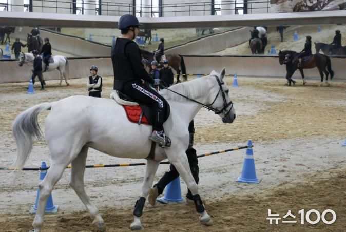 시민 무료 승마 교실 모습
