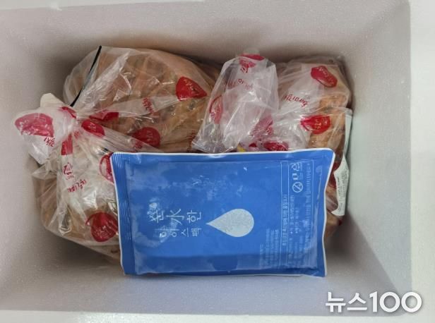 드림스타트 김장김치