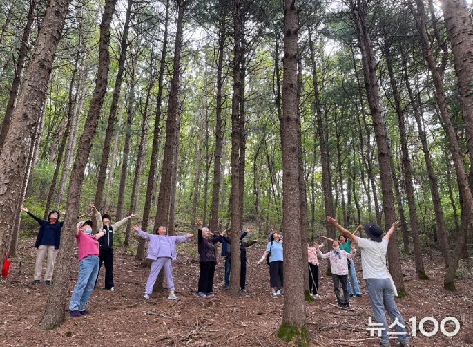 산림치유 프로그램