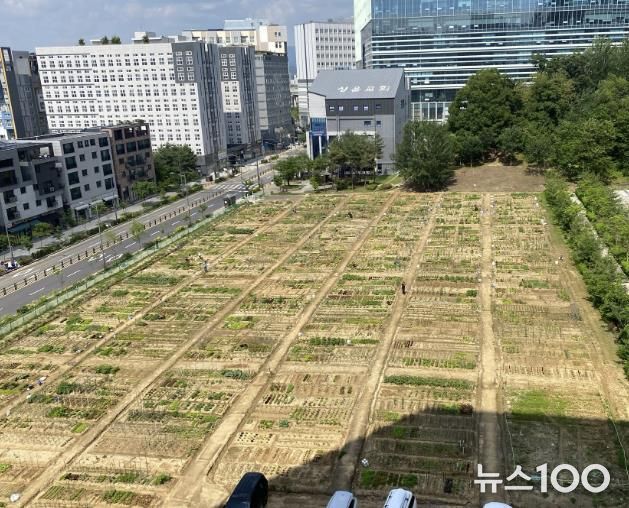 경기도 구리시 갈매동 552-9번지 일원에 위치한 「갈매동 도시농부 체험텃밭」 전경
