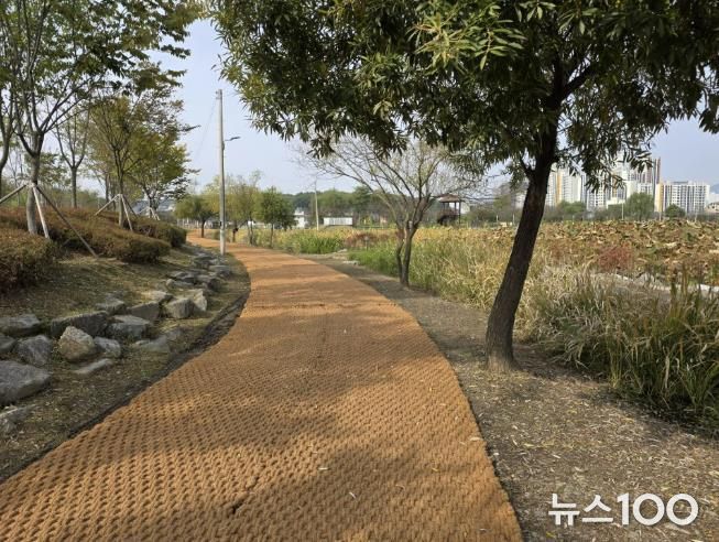 의왕 왕송호수공원, 편안히 쉬고 걸을 수 있는 공원으로 정비