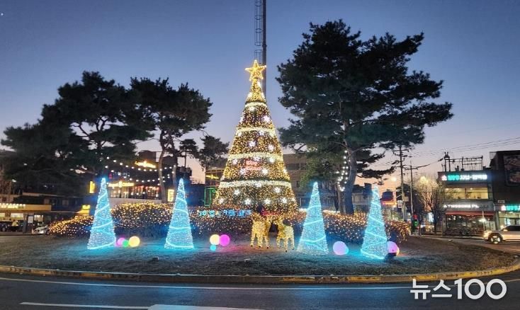 파주시 주요 교차로 대형 성탄절 나무 경관조명 설치… 따뜻한 연말 분위기 연출