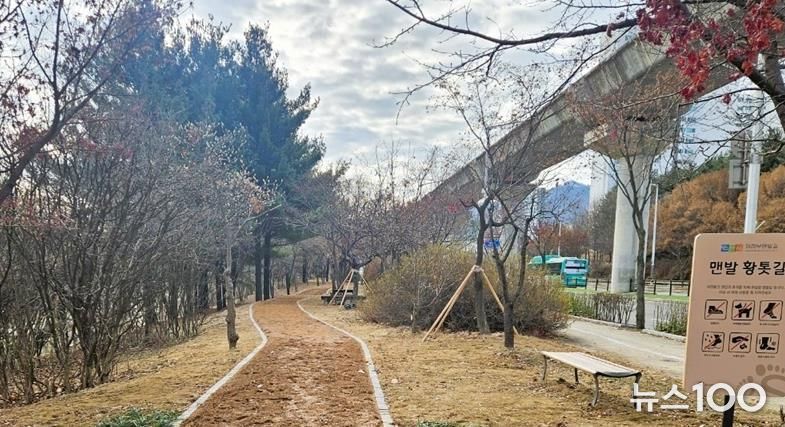 의정부시, 용현동 ‘맨발황톳길’ 조성 완료