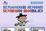 안산시, 사계절 빈틈없는 방역 체계 가동… 모기 매개 감염병 선제 차단