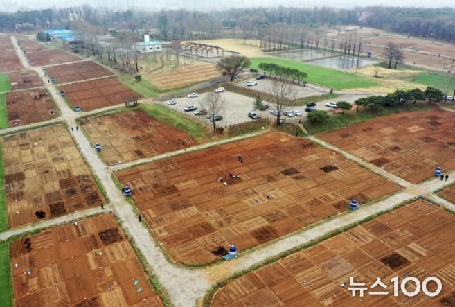 탑동 시민농장 텃밭