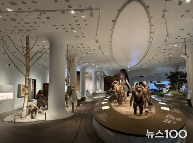 경기문화재단 전곡선사박물관, 상설전시실 전면 개편…42cm '초대형 주먹찌르개' 최초 공개