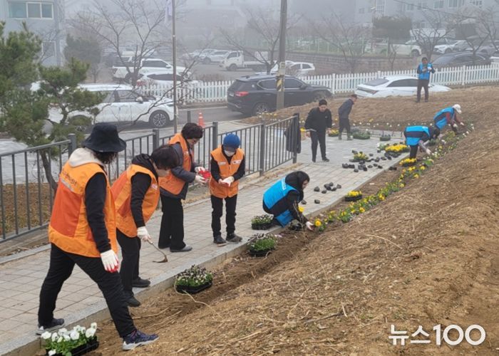 비전2동 2026년 새봄맞이 봄꽃 심기