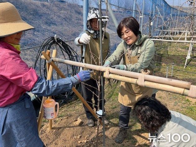 시민봉사단이 과수공원에서 사과 묘목 식재 활동을 하고 있다.