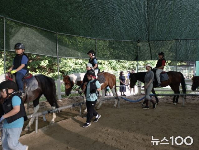 과천시 학생승마 지원사업 말타기 수업 모습