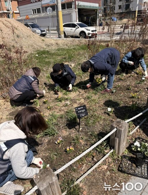 수원시 장안구 파장동, 봄맞이 손바닥정원 정비