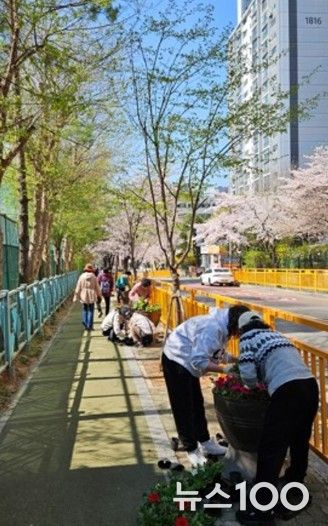 고양시 행신3동, 초화류 식재로 아름다운 꽃길 조성