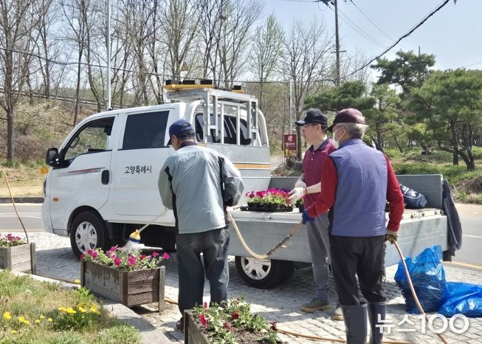 고양시 흥도동, 봄맞이 다채로운 봄꽃 식재